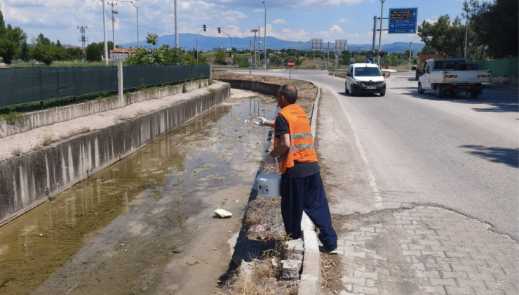 Gediz Belediyesi daha sağlıklı bir çevre için sahada