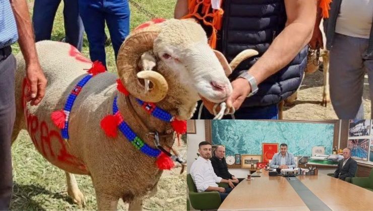 Yarışmada kazandıkları ödülü ihtiyaç sahipleri için bağışladılar