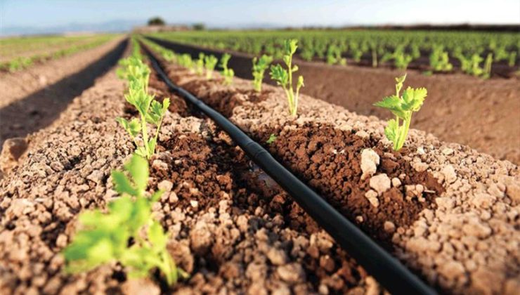Kırsal kalkınma desteklerinde başvuru süresi uzatıldı