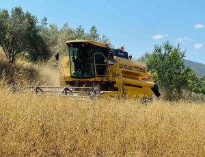 Kırsal kalkınma hibe başvurularında süre uzatıldı