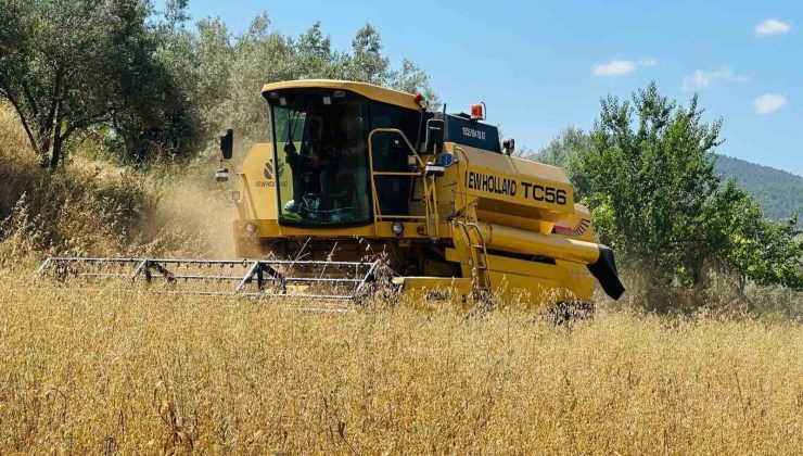 Kırsal kalkınma hibe başvurularında süre uzatıldı