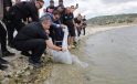 Porsuk Barajı’na 107 bin 500 balık yavrusu bırakıldı