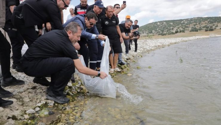 Porsuk Barajı’na 107 bin 500 balık yavrusu bırakıldı