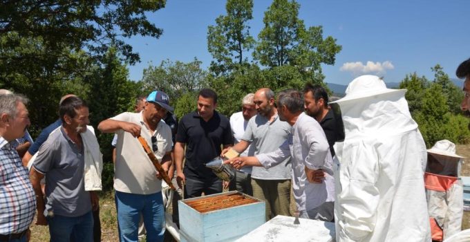 Kaymakam Başkapan’dan arıcılara destek ziyareti