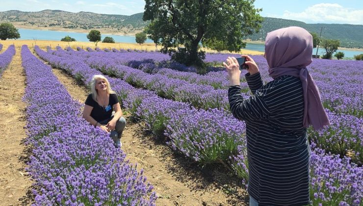 Nida Olçar’ın lavanta bahçesi masalsı bir deneyim sunuyor