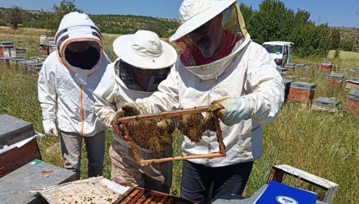 Gezginci arıcıların talepleri dinlenerek körük uyarısı yapıldı