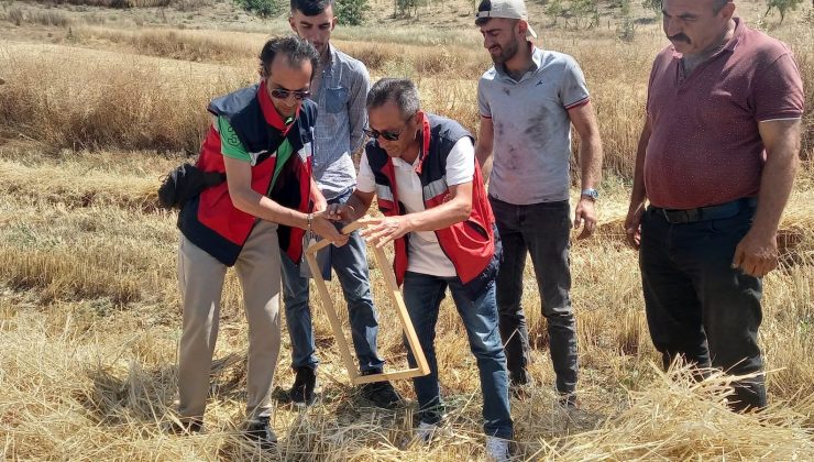 Tarım ekiplerinden hasat ve arıcılık için saha mesaisi