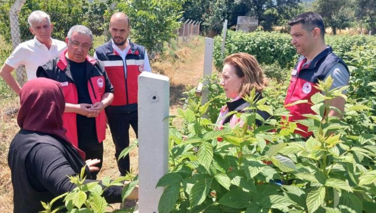 Bakanlık heyetinden Kütahya’ya organik tarım ziyareti