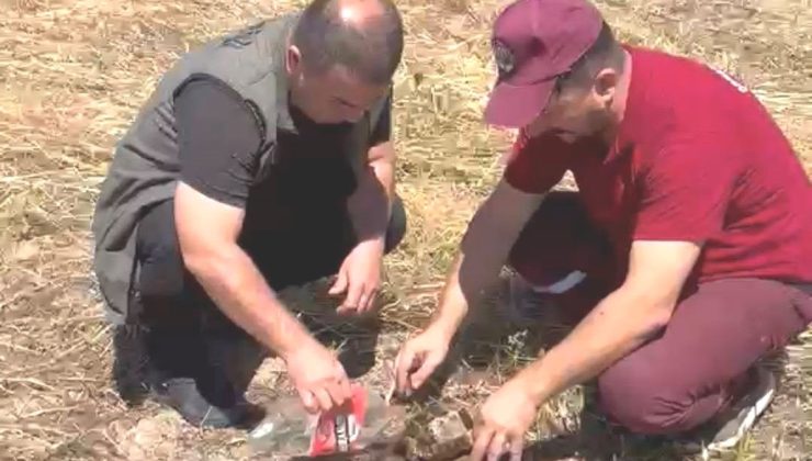 Alevlerin arasında kalan kaplumbağaya itfaiye ekiplerinden can suyu