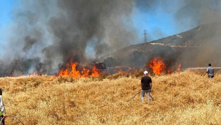 Buğday tarlasındaki yangında 50 dekar alan kül oldu