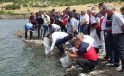 Tavşanlı’nın göletlerine 123 bin yavru sazan balığı bırakıldı