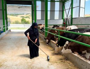 12 milyon TL’lik büyükbaş besi işletmesi üretime başladı