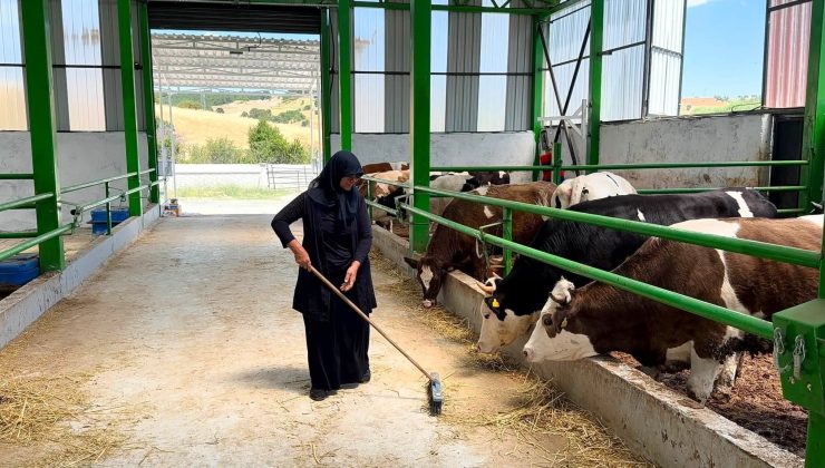 12 milyon TL’lik büyükbaş besi işletmesi üretime başladı