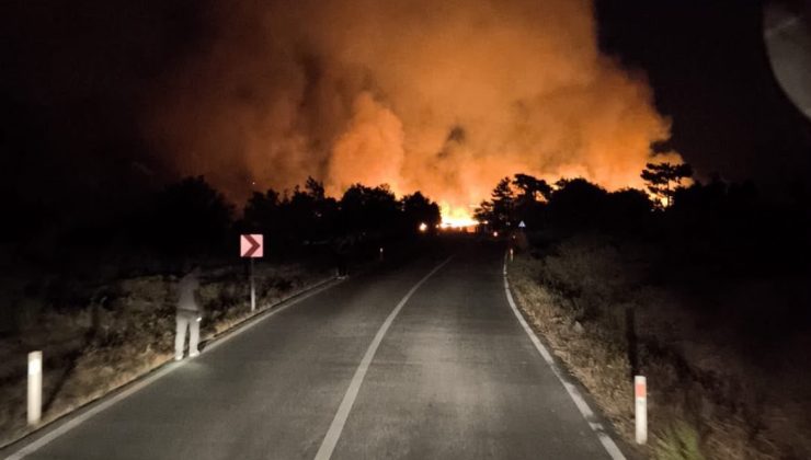 Ekili arazide çıkan yangın ormana sıçramadan kontrol altına alındı