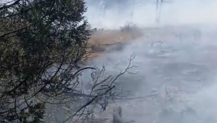Çavdarhisar’daki orman yangını söndürüldü