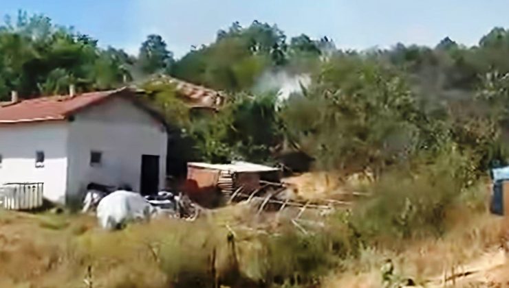 Emet’te çıkan yangın kontrol altına alındı