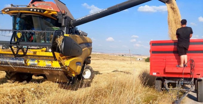 Kütahya’da yerli ve milli arpa çeşitlerinin hasadında yüksek verim