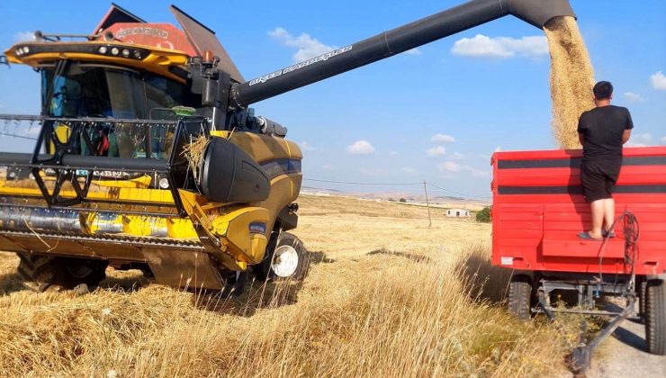 Kütahya’da yerli ve milli arpa çeşitlerinde yüksek verim