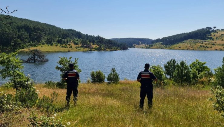 Jandarmanın orman mesaisi başladı