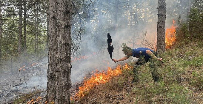 KÜTAHYA’DA ORMAN YANGININA HAVADAN VE KARADAN MÜDAHALE