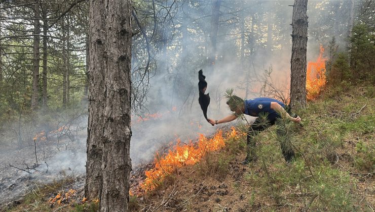 KÜTAHYA’DA ORMAN YANGININA HAVADAN VE KARADAN MÜDAHALE