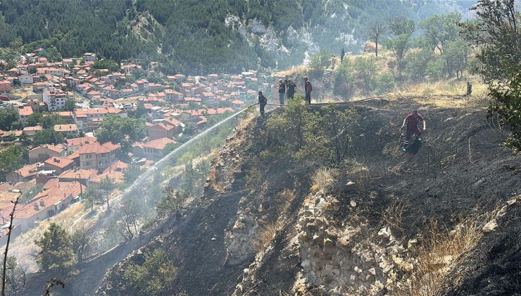 TARİHİ KALE YAKININDA ÇIKAN YANGIN KONTROL ALTINA ALINDI