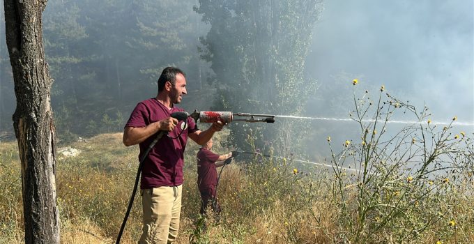 OT YANGINI ORMANLIK ALANA SIÇRAMADAN SÖNDÜRÜLDÜ