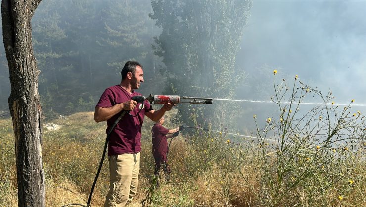 OT YANGINI ORMANLIK ALANA SIÇRAMADAN SÖNDÜRÜLDÜ
