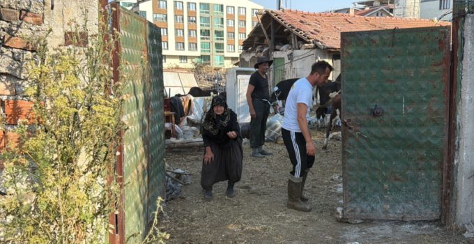 MÜRÜVVET TEYZE İKNA EDİLDİ, GÜNDEM OLAN TAHLİYENİN ARDINDAN İMARSIZ BİNA YIKILDI