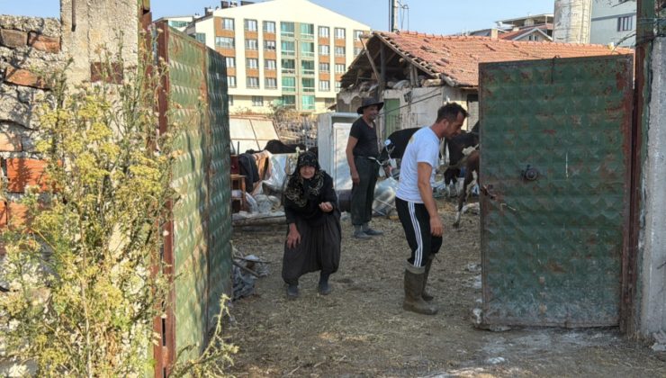 MÜRÜVVET TEYZE İKNA EDİLDİ, GÜNDEM OLAN TAHLİYENİN ARDINDAN İMARSIZ BİNA YIKILDI