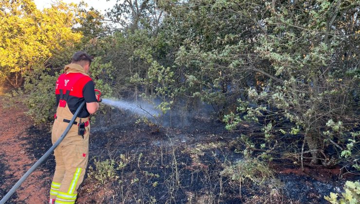 Kütahya OSB İtfaiyesi, iki köydeki yangına hızla müdahale etti