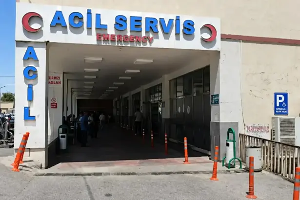 Kardeşlerin kavgası kanlı bitti: Yengesini öldürdü, abisini ağır yaraladı