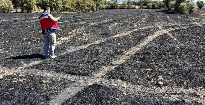 Yangın sonrası tarım alanlarında hasar tespit çalışması başlatıldı