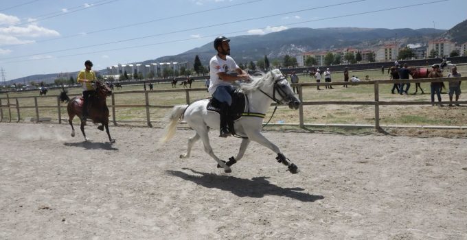 Kütahya’da Rahvan At Yarışları heyecanı: 43 ilden 130’un üzerinde at mücadele etti