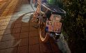 Kamyona arkadan çarpan motosikletin sürücüsü yaralandı