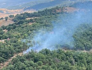 Ormanlık alanda çıkan yangın büyümeden söndürüldü