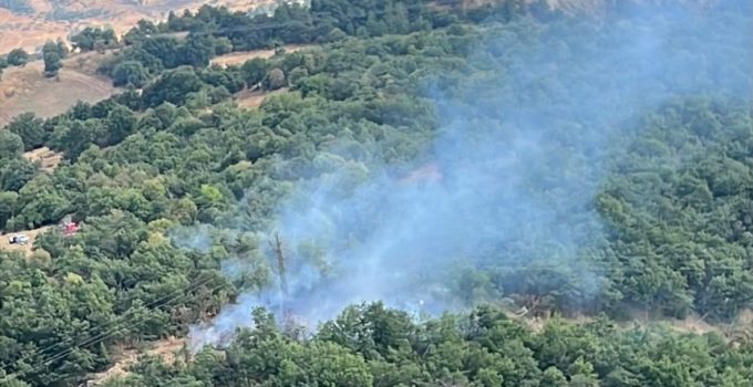 Ormanlık alanda çıkan yangın büyümeden söndürüldü