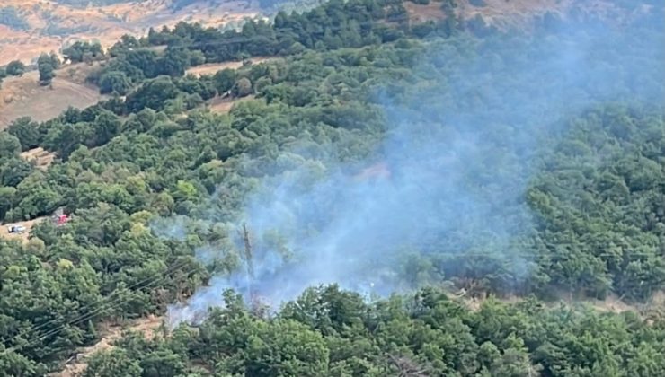 Ormanlık alanda çıkan yangın büyümeden söndürüldü