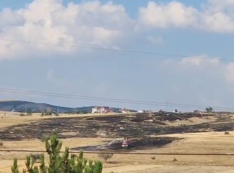 Otluk alanda çıkan yangında bekçi kulübesi alevler arasında kaldı