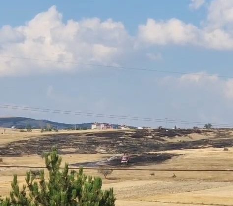 Otluk alanda çıkan yangında bekçi kulübesi alevler arasında kaldı