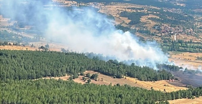 ORMANLIK ALANA SIÇRAYAN YANGIN SÖNDÜRÜLDÜ