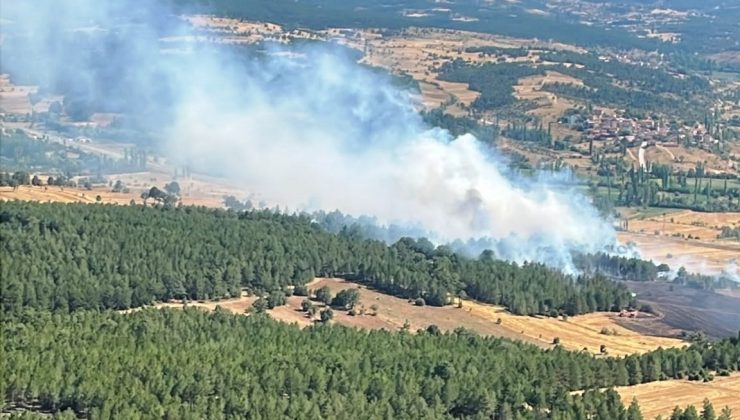 ORMANLIK ALANA SIÇRAYAN YANGIN SÖNDÜRÜLDÜ