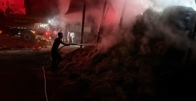 ALEVLER AHIRA VE ARACA SIÇRADI, HAYVANLAR SON ANDA KURTARILDI