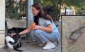KEDİNİN BAŞINI VE AYAKLARINI KESİP APARTMANIN ÖNÜNE BIRAKTILAR