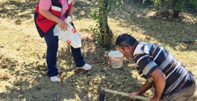 Tarımsal üretimde doğru ve bilinçli gübreleme çalışmaları sürüyor