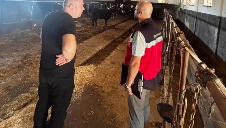 Destek projesi kapsamındaki ithal hayvanların kontrolleri yapıldı