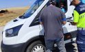 Hayvan nakillerine sıkı denetim