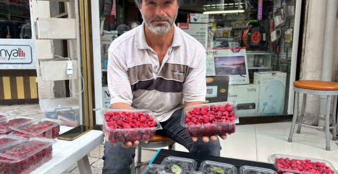 Kıraç arazisini üretime kazandırdı: Aronya ve ahududu yetiştiriyor