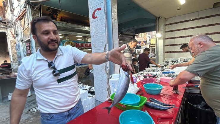 Balık sezonu açıldı, tezgahlarda bolluk yaşanıyor