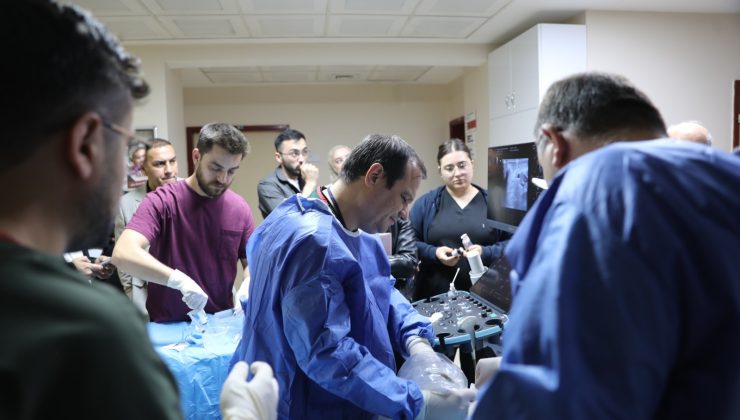 Kütahya’da uluslararası hekimlere ‘mikrodalga ablasyon’ eğitimi verildi